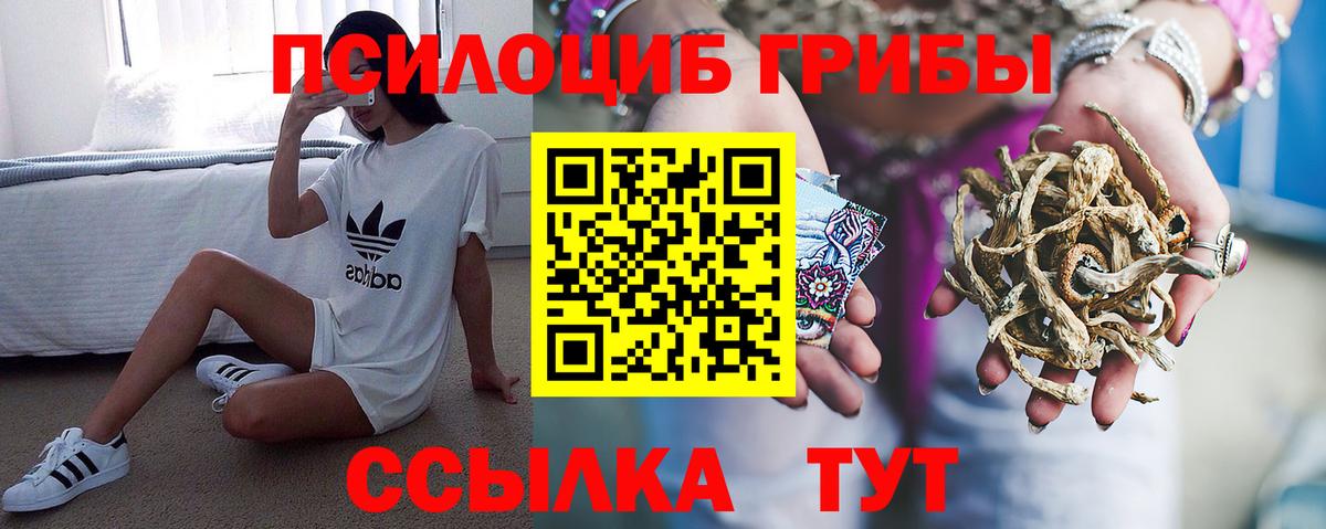 Асбест  цена наркотик  Вход с VPN  Галлюциногенные грибы Cubensis  Галлюциногенные грибы прущие грибы 